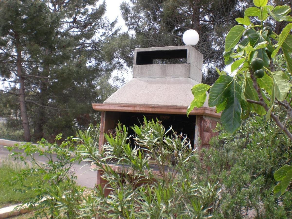 Apartmani Vesna Vir Exterior photo